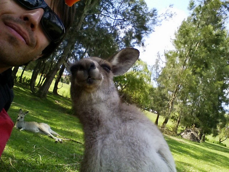 Daily Pictures. Part 1 (64 pics)