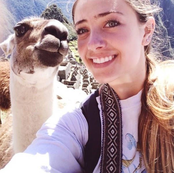 Daily Pictures. Part 1 (64 pics)