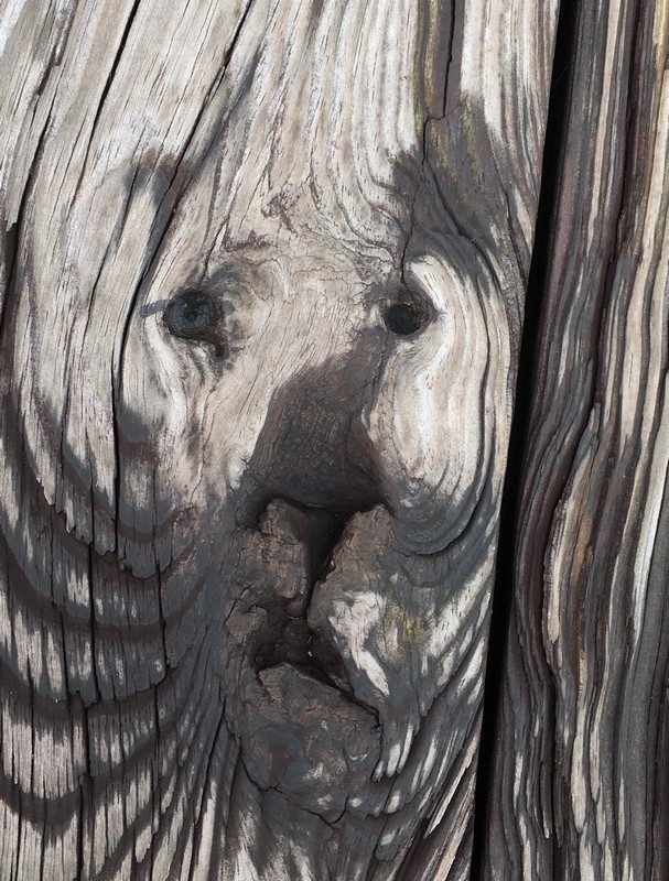 Daily Pictures. Part 1 (64 pics)