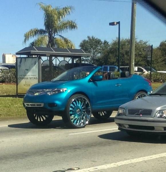 Daily Pictures. Part 1 (64 pics)