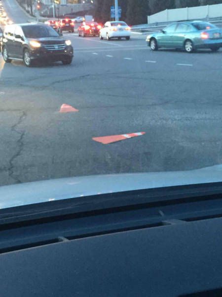 Daily Pictures. Part 1 (64 pics)