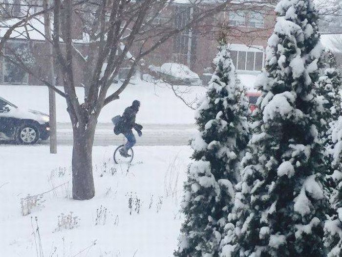 Daily Pictures. Part 1 (64 pics)