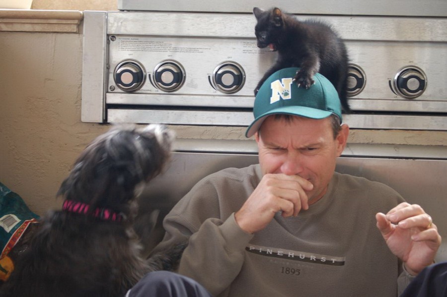 Daily Pictures. Part 2 (63 pics)