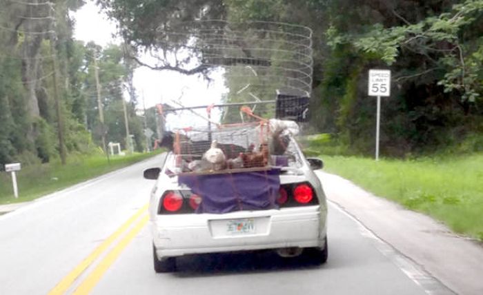 Daily Pictures. Part 1 (64 pics)