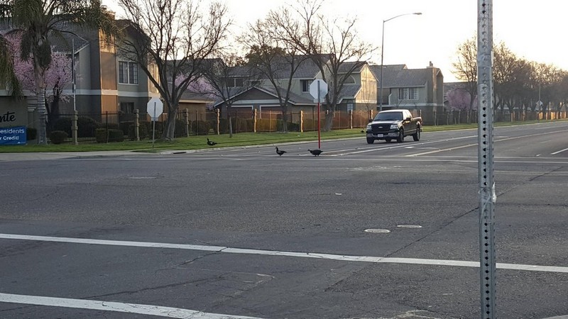 Daily Pictures. Part 2 (63 pics)