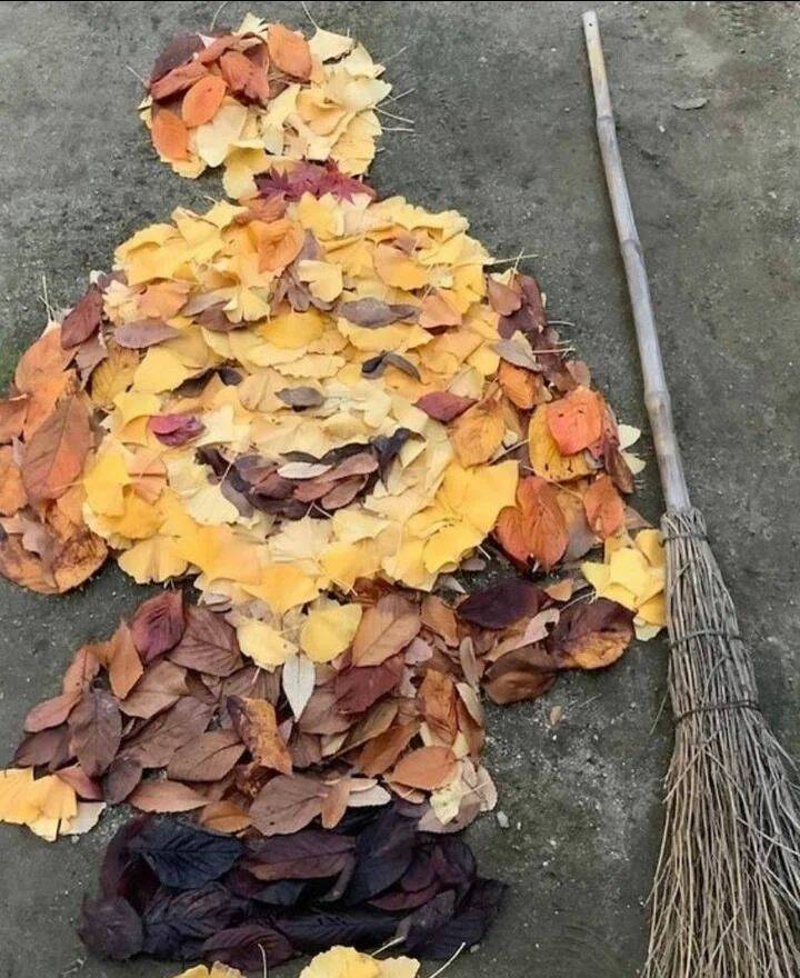 Daily Pictures. Part 2 (63 pics)