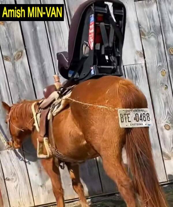 Daily Pictures. Part 2 (63 pics)