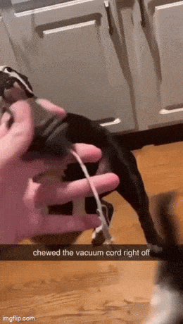 Acid GIFs, November 24 (25 gifs)