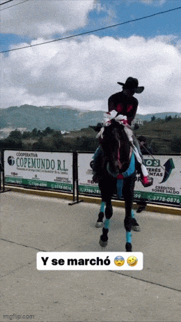 Acid GIFs, November 24 (25 gifs)