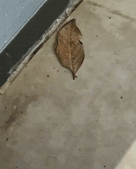 Acid GIFs, November 24 (25 gifs)