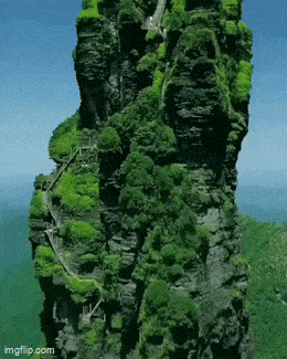 Acid GIFs, November 24 (25 gifs)