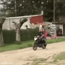 Acid GIFs, November 24 (25 gifs)