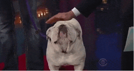 Acid GIFs, November 24 (25 gifs)