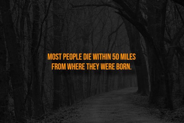 Creepy Facts (14 pics)