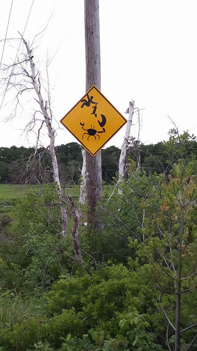 What Is Going On Here? (15 pics)