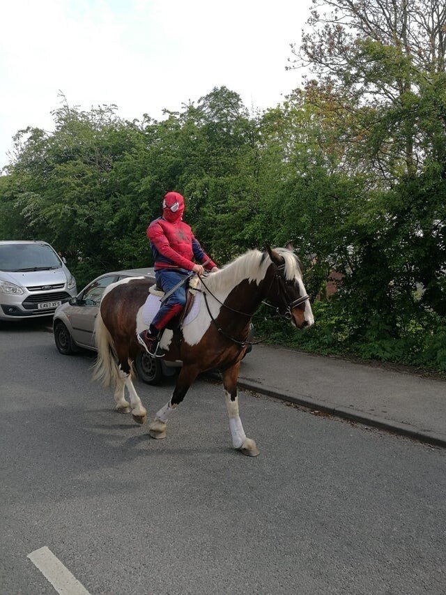 What Is Going On Here? (15 pics)