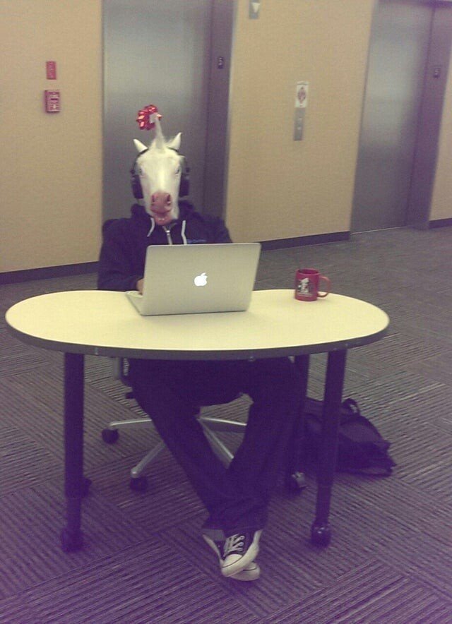 What Is Going On Here? (15 pics)