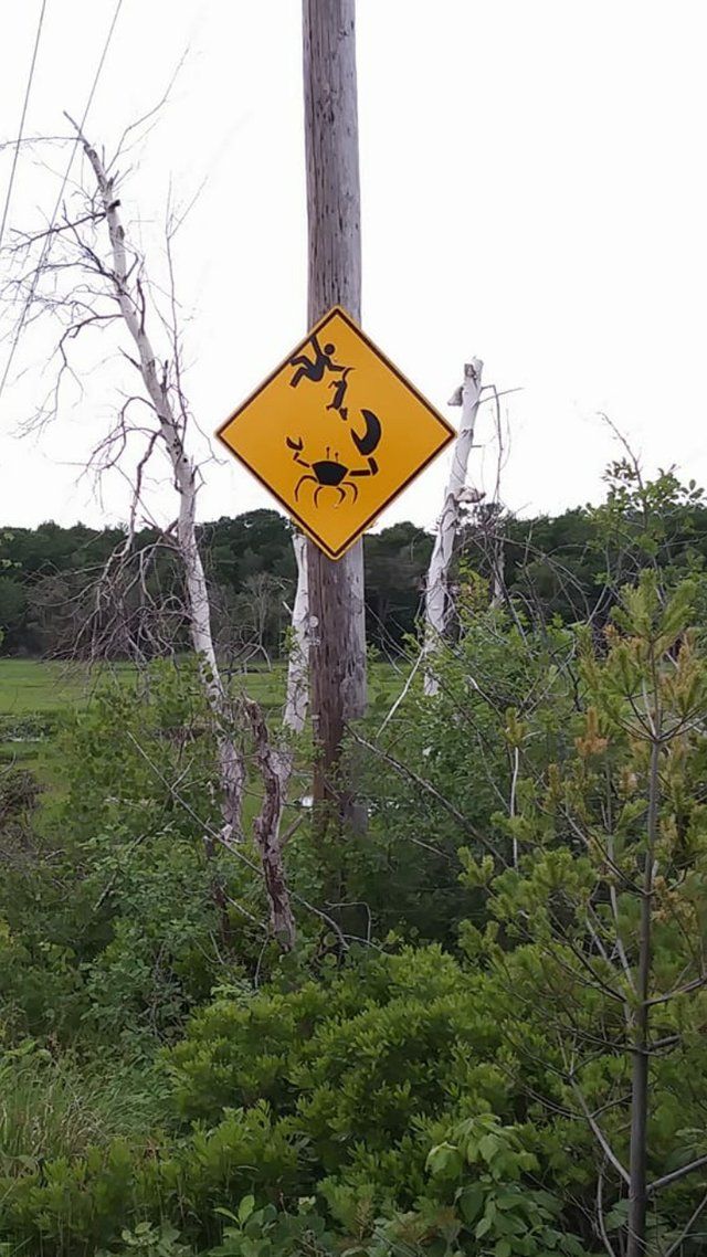 What Is Going On Here? (15 pics)