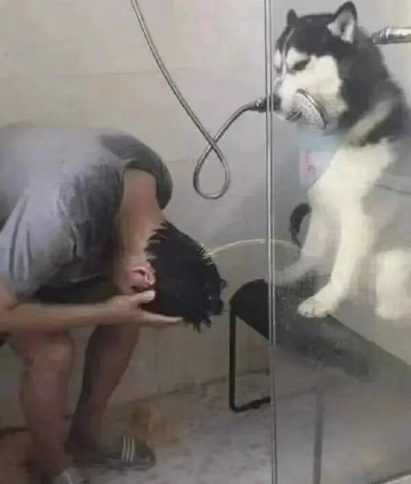 What Is Going On Here? (15 pics)