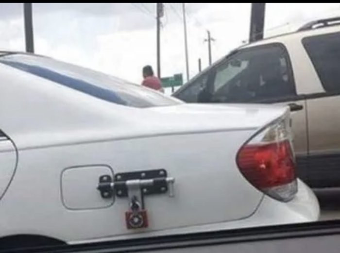 What Is Going On Here? (15 pics)