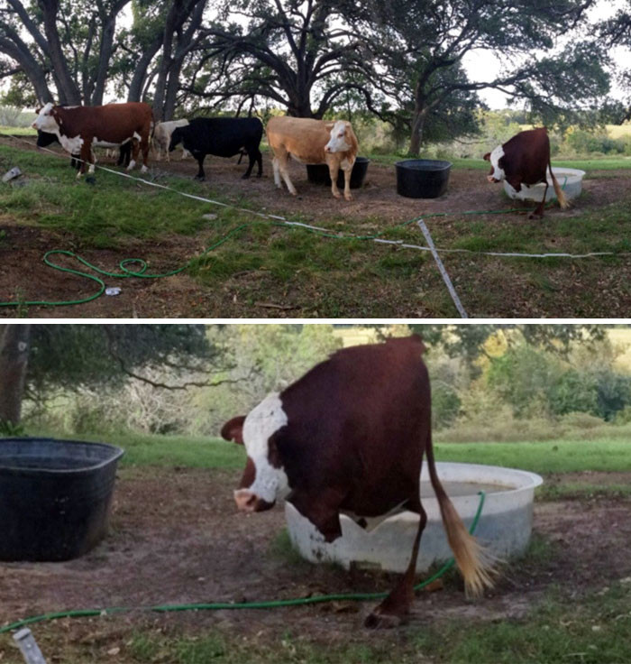 Failed Panoramic Photos (17 pics)