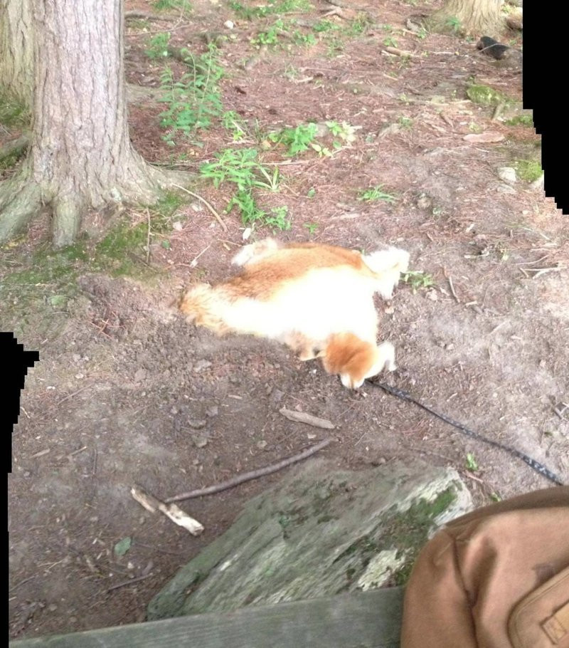 Failed Panoramic Photos (17 pics)