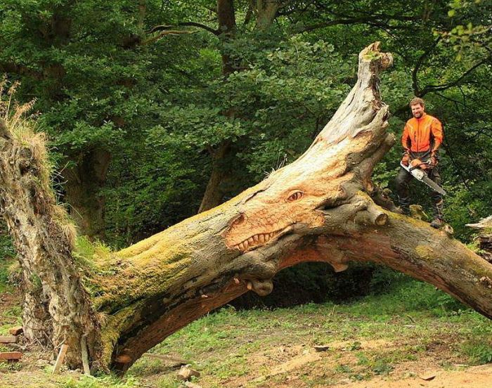 Amazing Woodworking (25 pics)