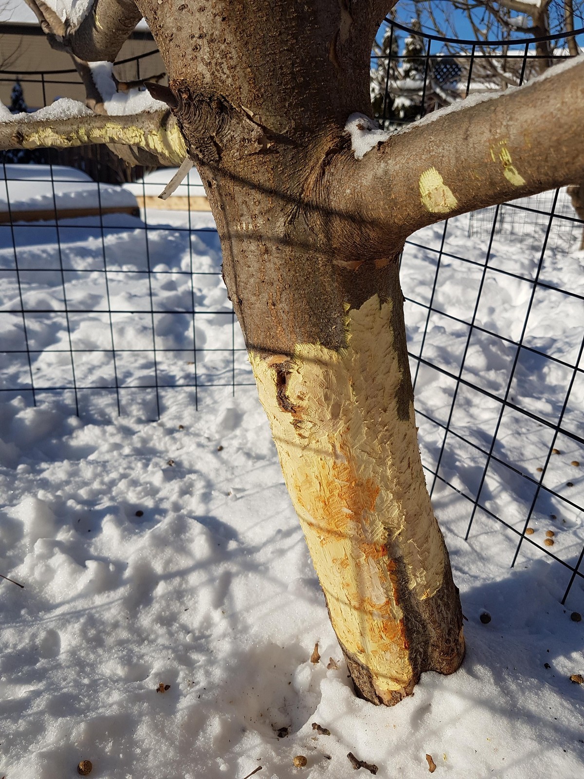 Unfortunate Situations (31 pics) Unfortunate Situations (31 pics)