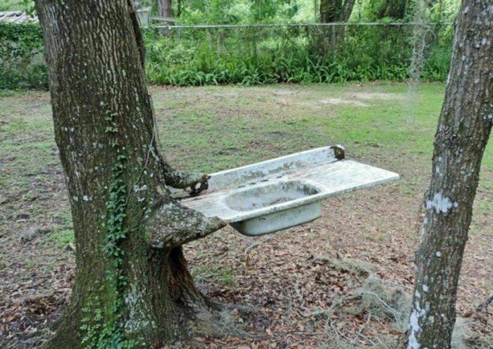 The Power Of Nature (16 pics)