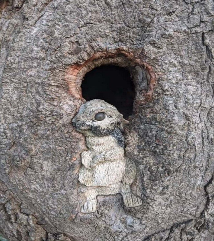 The Power Of Nature (16 pics)