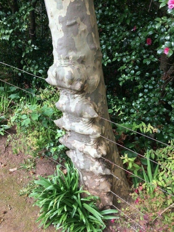 The Power Of Nature (16 pics)