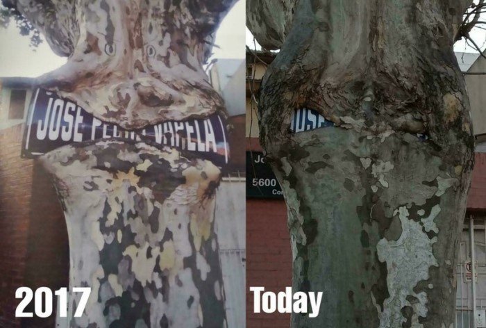 The Power Of Nature (16 pics)