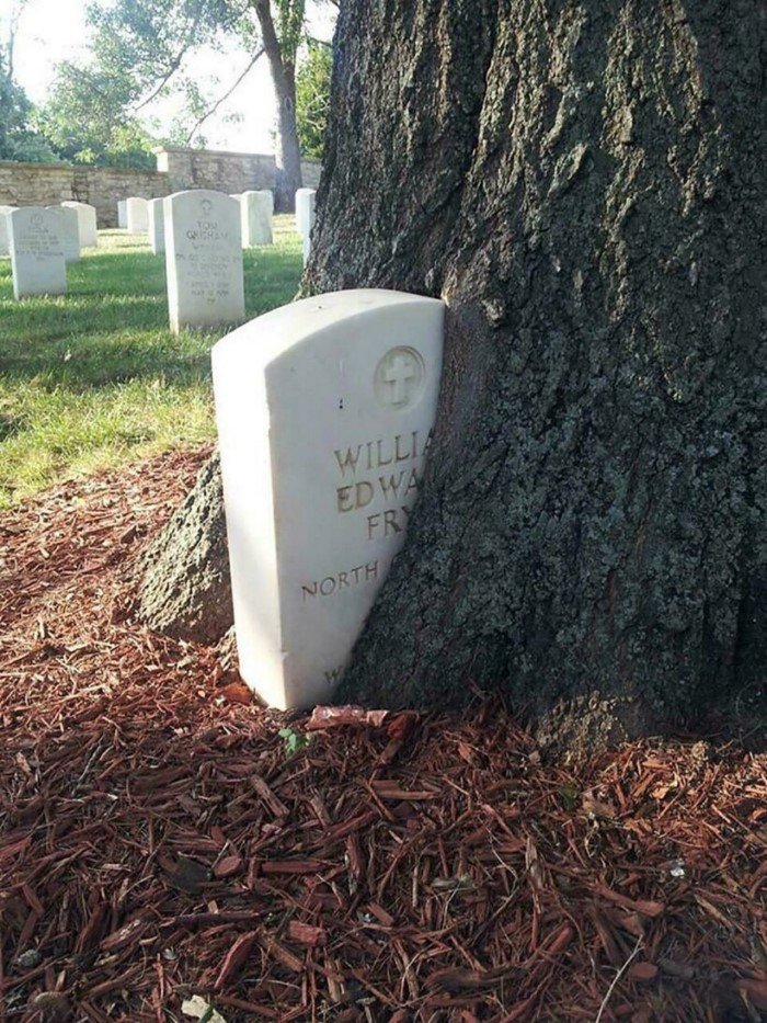 The Power Of Nature (16 pics)