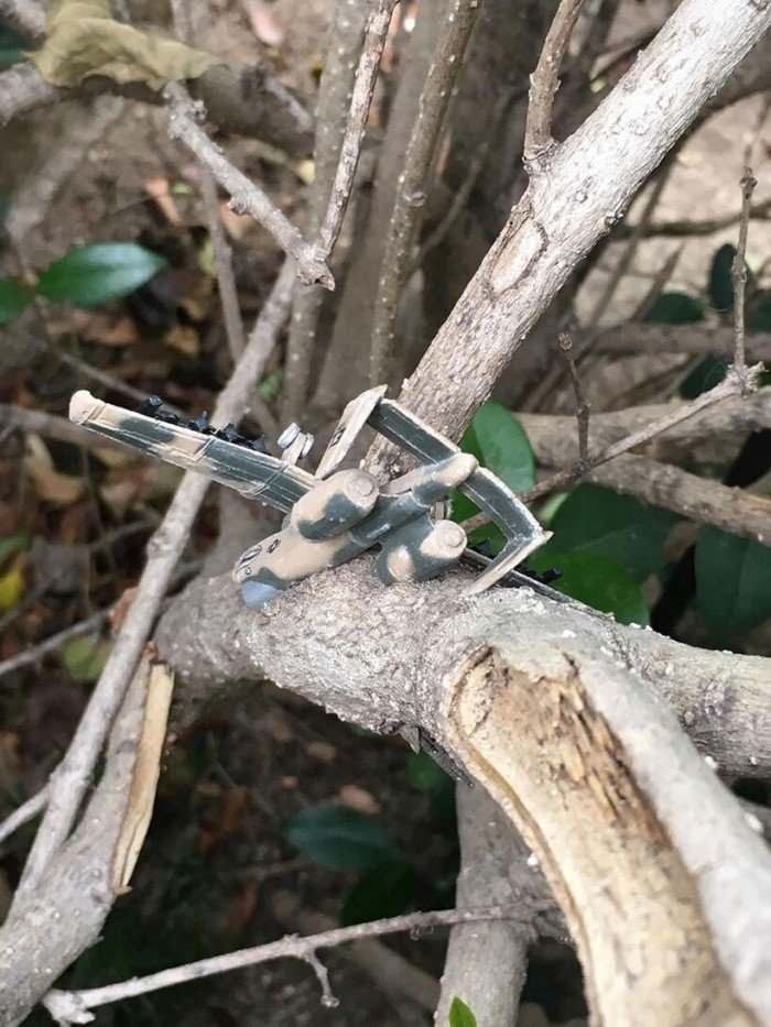 The Power Of Nature (16 pics)