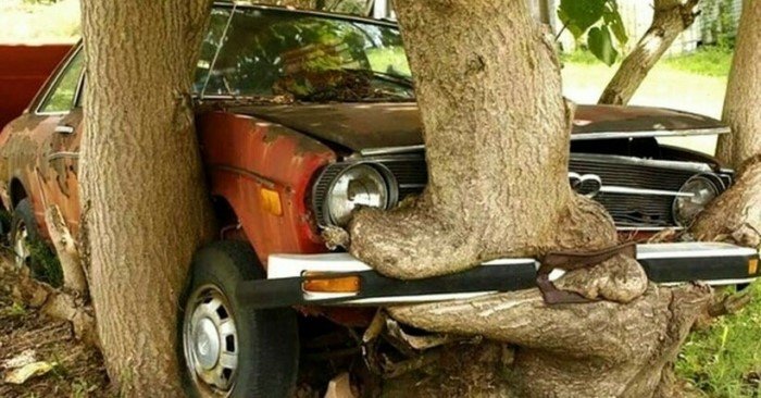 The Power Of Nature (16 pics)