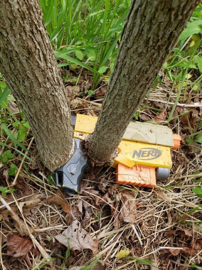 The Power Of Nature (16 pics)