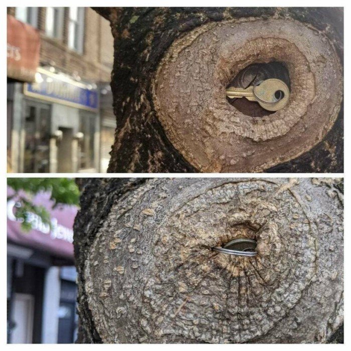 The Power Of Nature (16 pics)