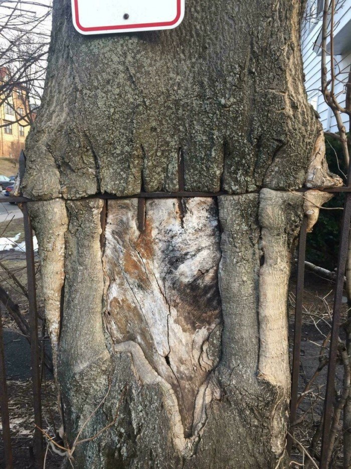 The Power Of Nature (16 pics)