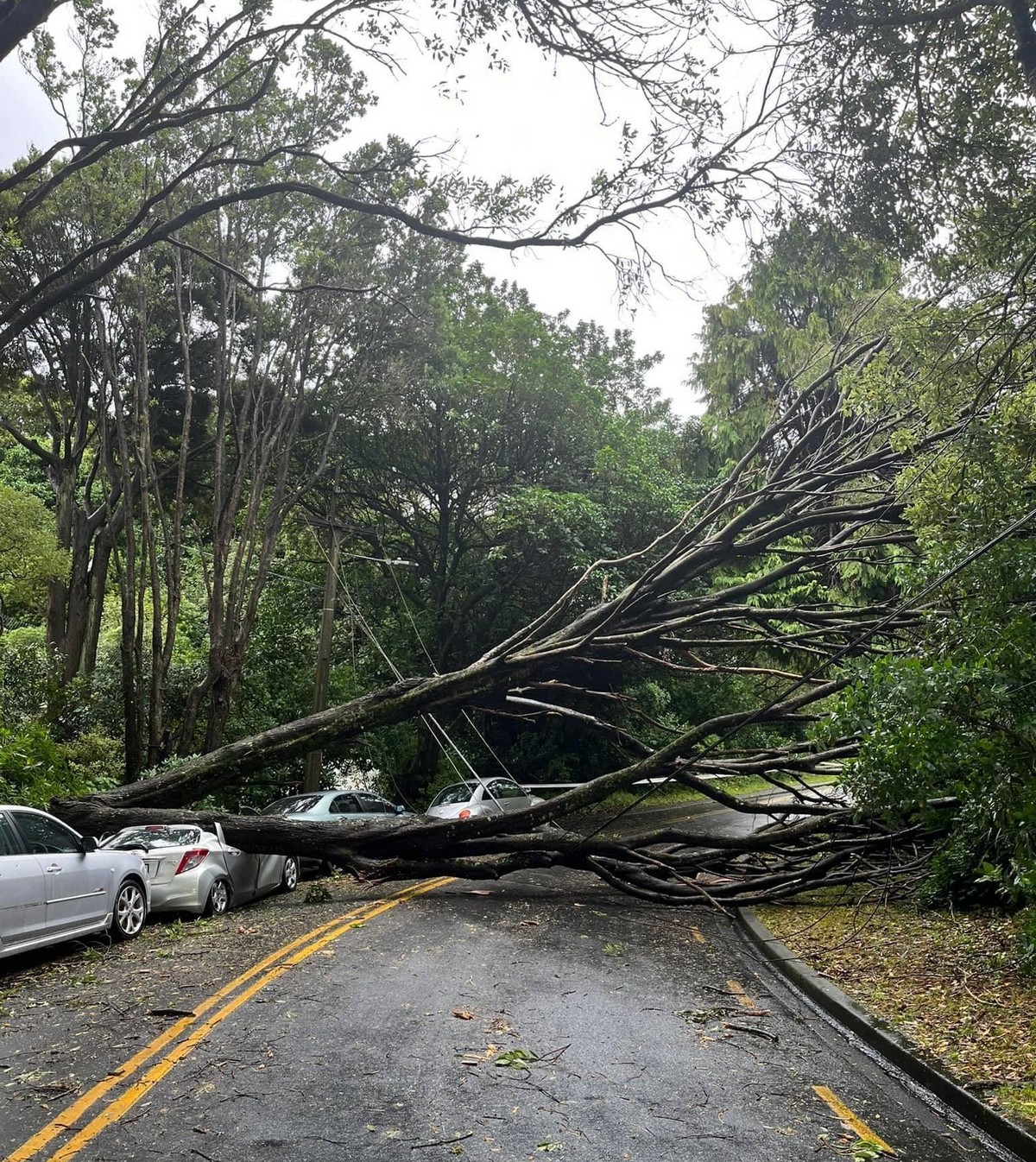 Bad Days Happen (25 pics)