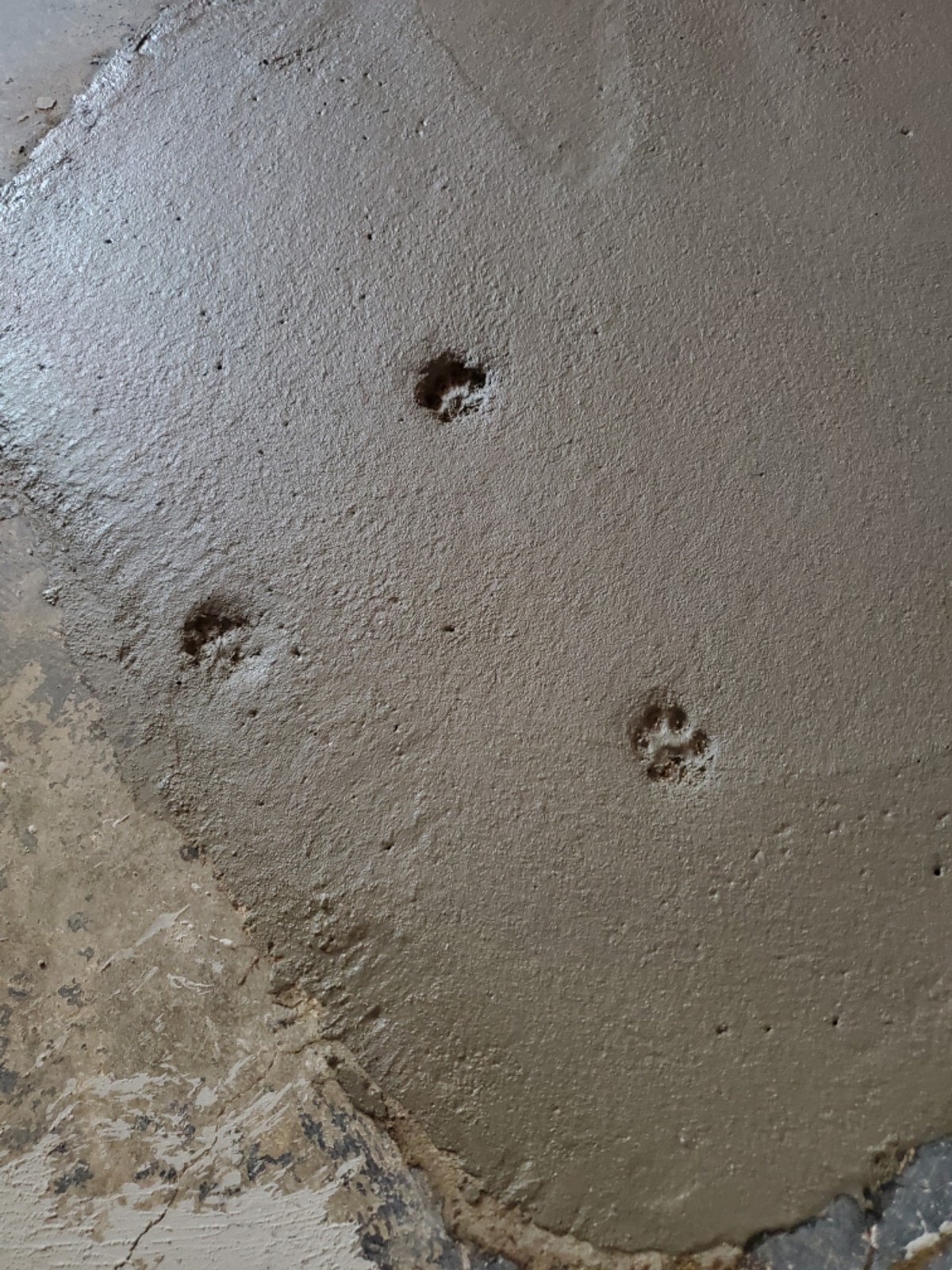 Bad Days Happen (25 pics)