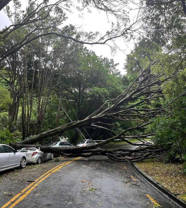 Bad Days Happen (25 pics)