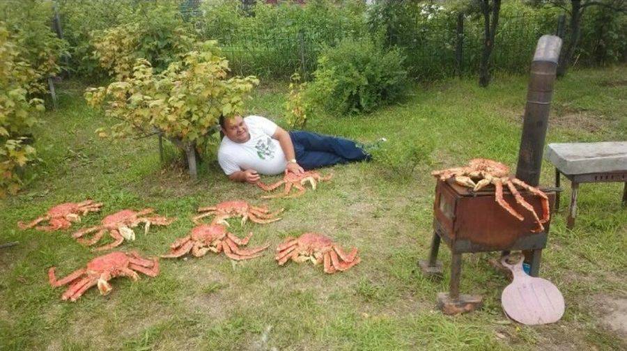 Daily Pictures. Part 1 (65 pics)