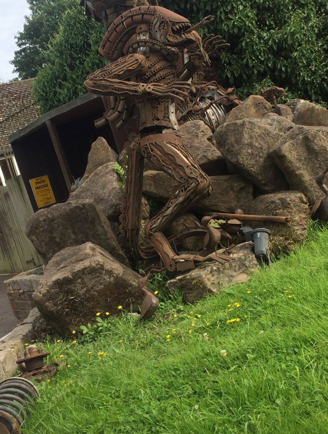 Daily Pictures. Part 1 (65 pics)