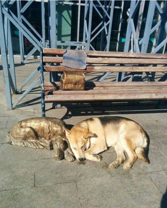 Daily Pictures. Part 1 (65 pics)