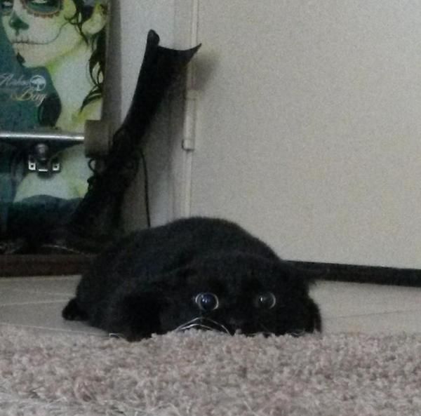 Daily Pictures. Part 1 (65 pics)