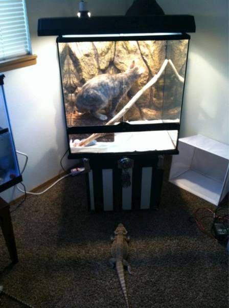 Daily Pictures. Part 1 (65 pics)