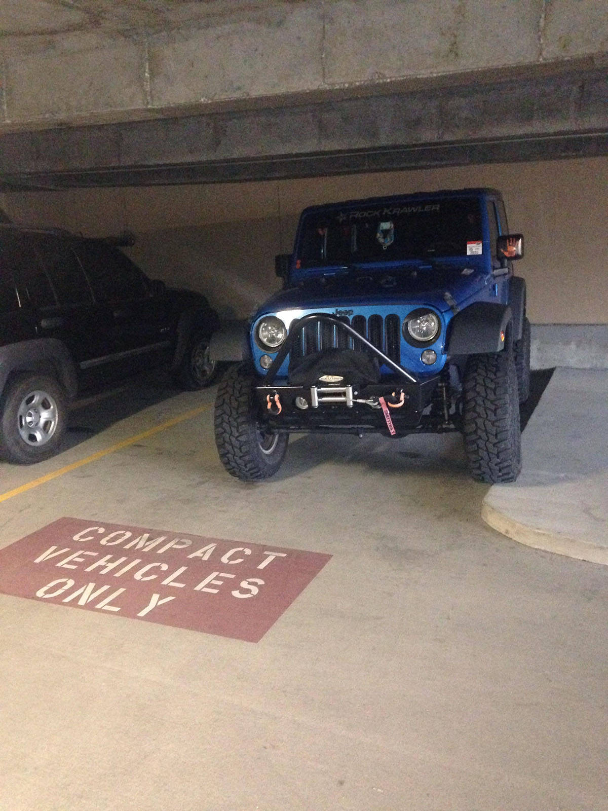 Daily Pictures. Part 1 (65 pics)