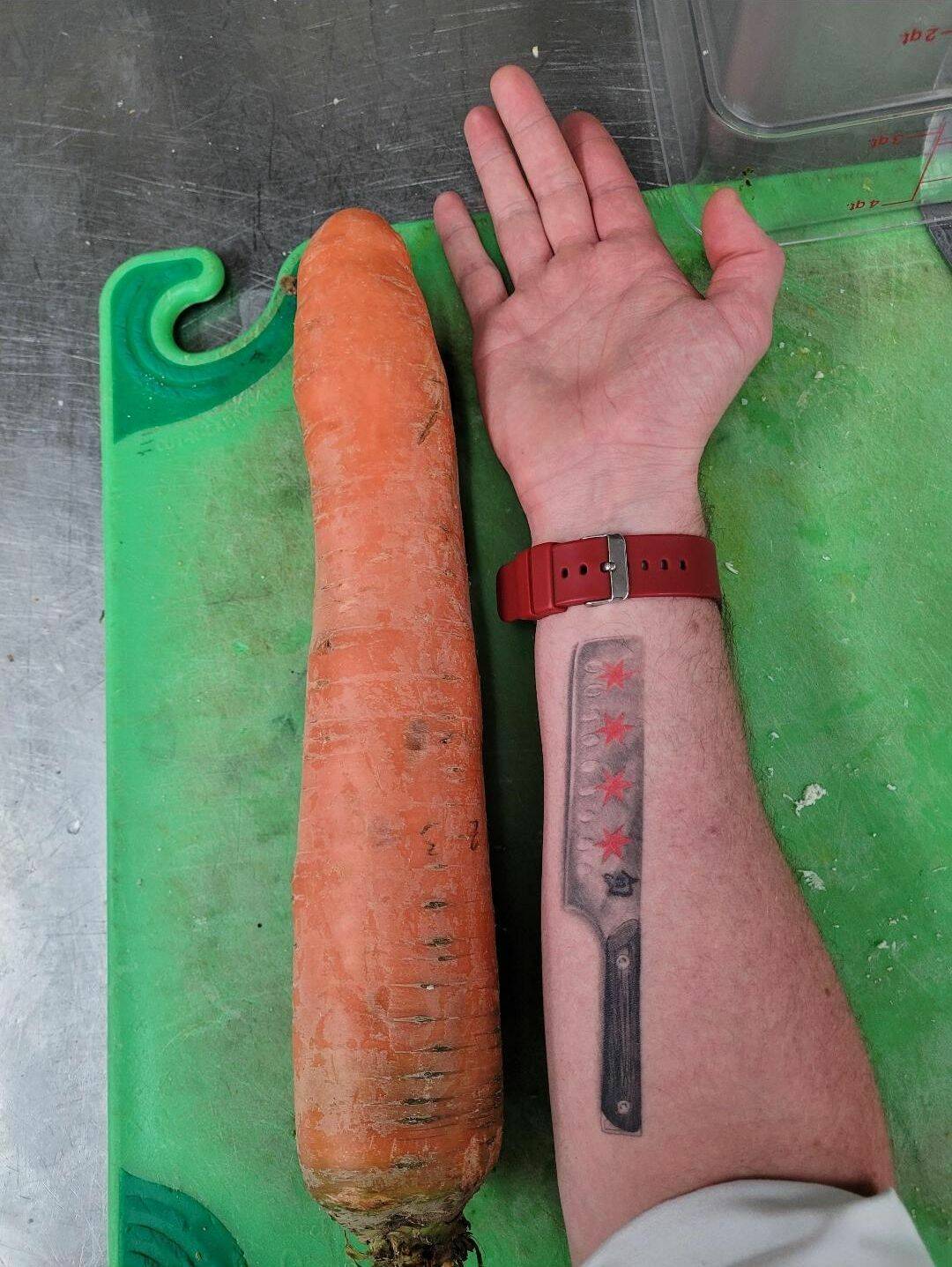 Daily Pictures. Part 1 (65 pics)