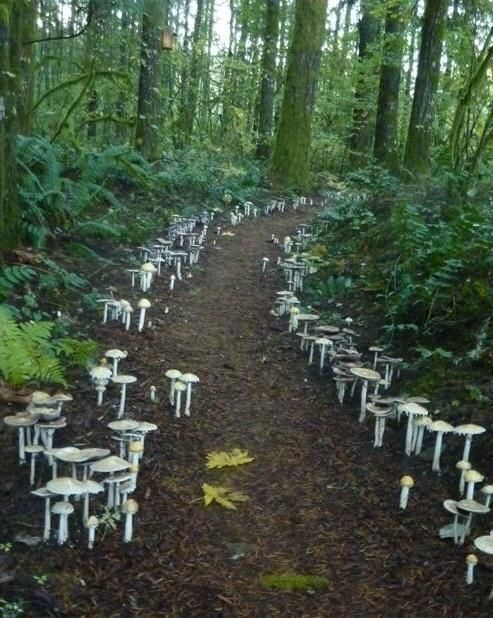 Daily Pictures. Part 2 (64 pics) Daily Pictures. Part 2 (64 pics)