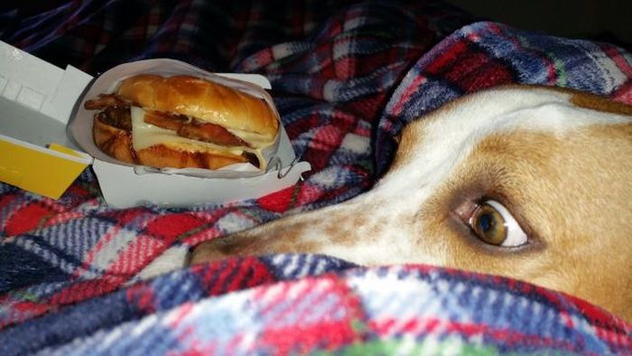 Daily Pictures. Part 1 (65 pics)